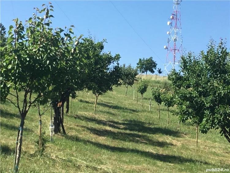 Teren în Central