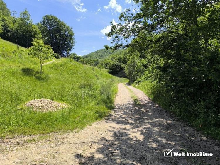Teren agricol extravilan de 1423 mp, în Huta