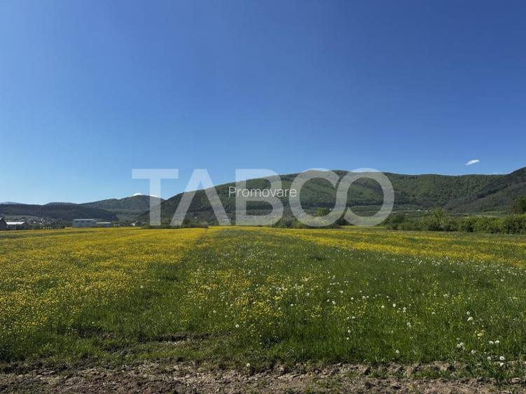 Teren de vanzare suprafata de 3000 mp in zona industriala Po