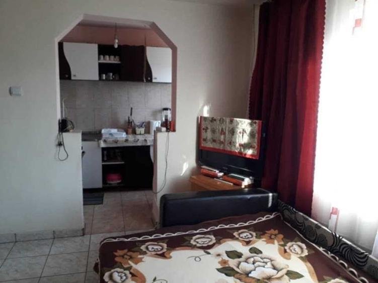 Casă cu 2 camere în Vintere