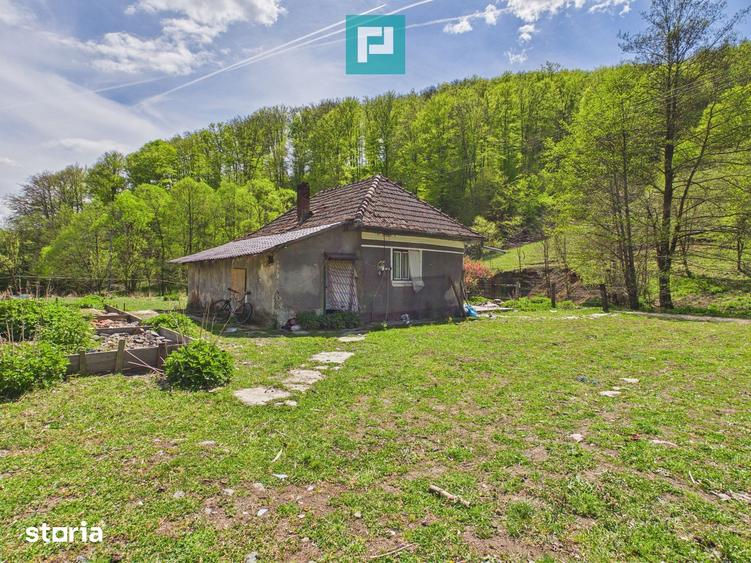 Teren de 6837 mp, în Luncoiu de Jos
