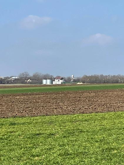 Teren de 5000 mp, în Central