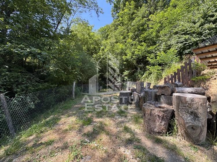 Casă cu Teren 771 Mp în Dumbrava