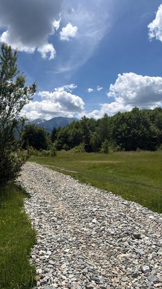 Teren Construcții intravilan de 2000 mp, în Sud-Est