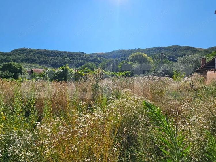 Casă cu 3 camere cu Teren 1249 Mp în Laz (Săsciori)