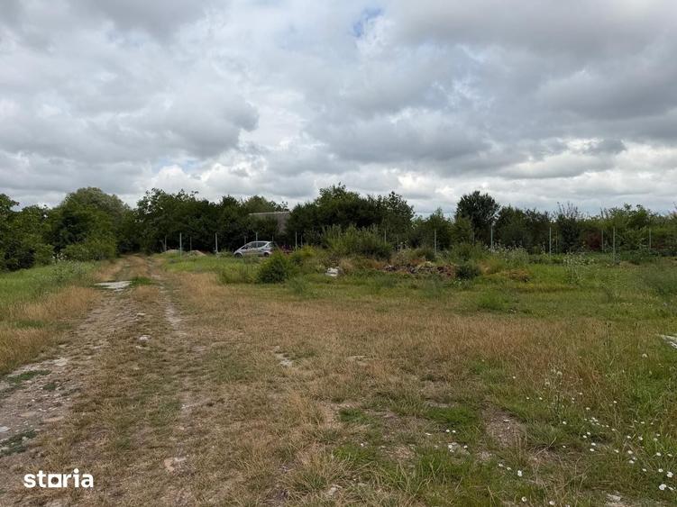 Teren de 3000 mp, în Central