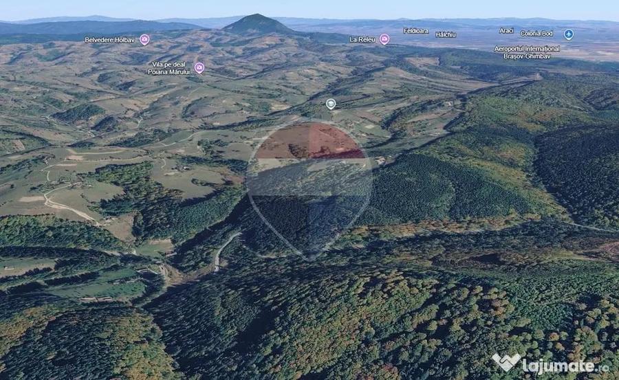 Teren extravilan Poiana Marului 1092mp, inconjurat de padure - 5