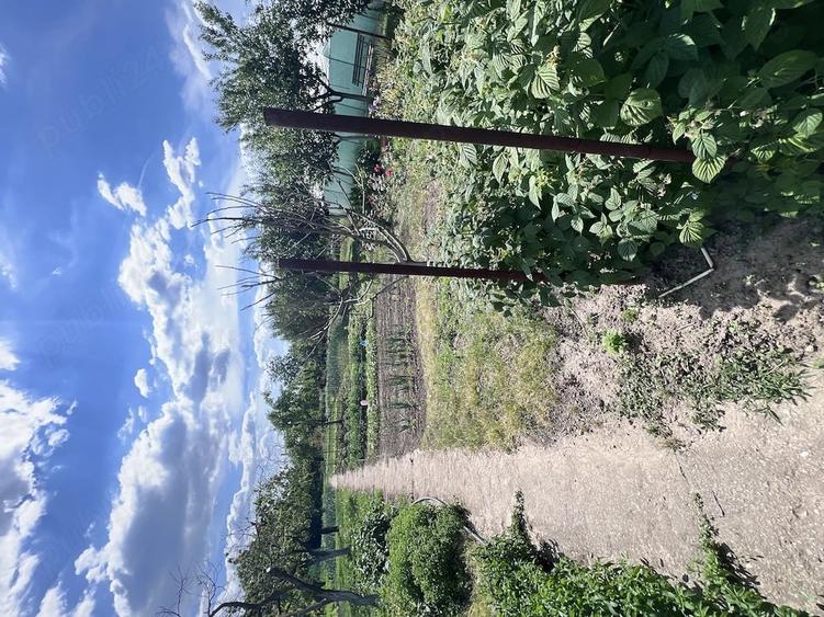 Casă cu 3 camere cu Teren 838 Mp în Fratelia