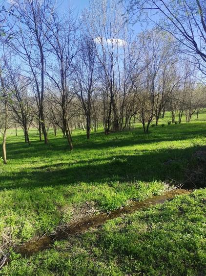 Teren de 1506 mp, în Drajna
