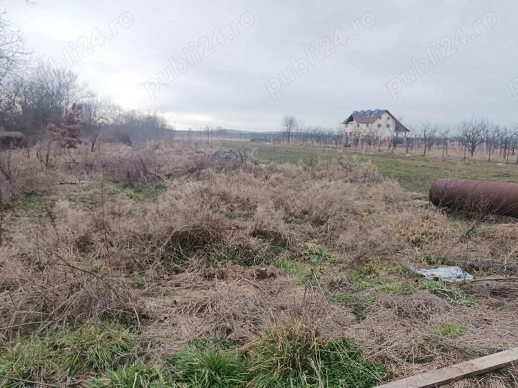 Teren de 3000 mp, în Vad