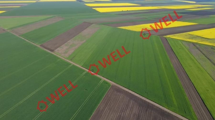 Teren extravilan de 68800 mp, în Sântionlunca