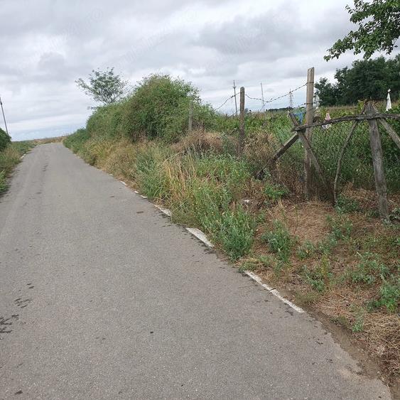 Teren de 1500 mp, în Spiru Haret