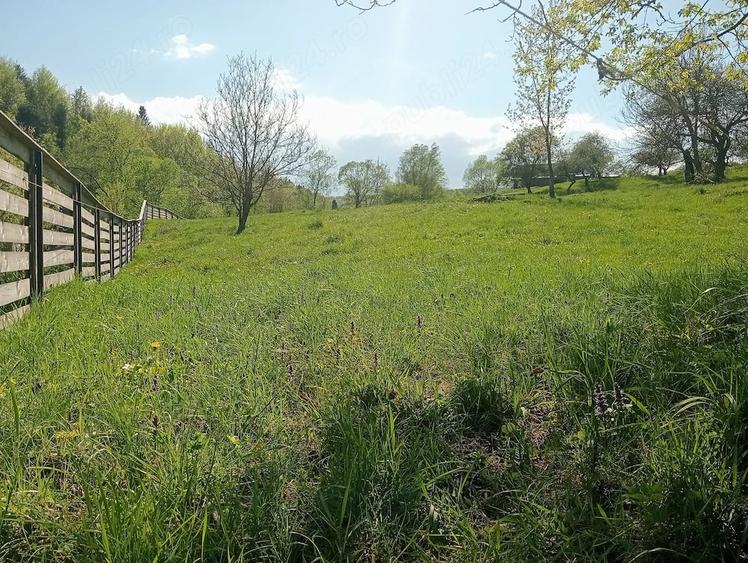 Teren de 1800 mp, în Varvata