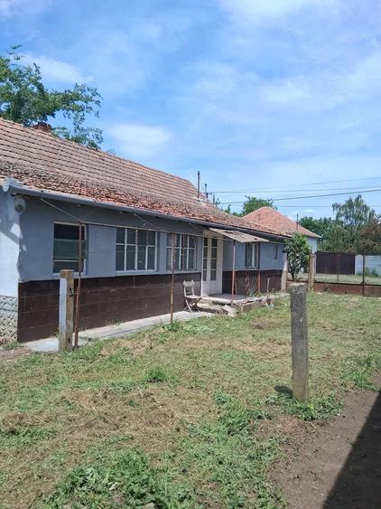 Casă cu 3 camere cu Teren 1500 Mp în Central