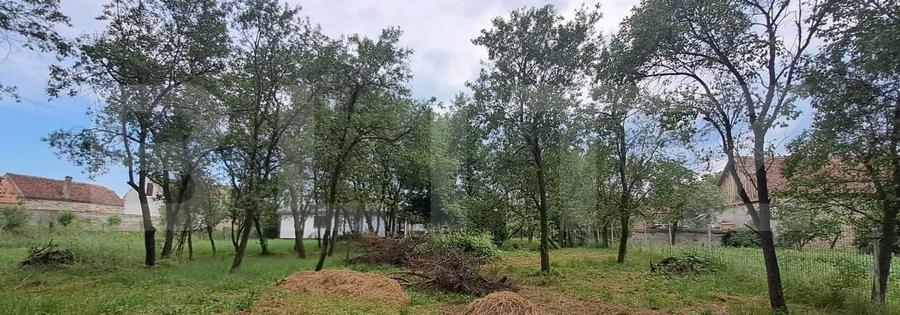 Teren Construcții intravilan de 1300 mp, în Grid