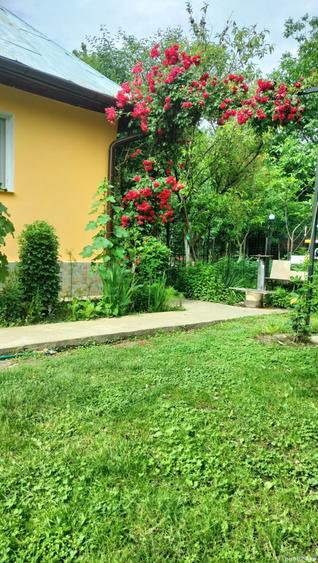 Casă cu 3 camere în Drăgășani