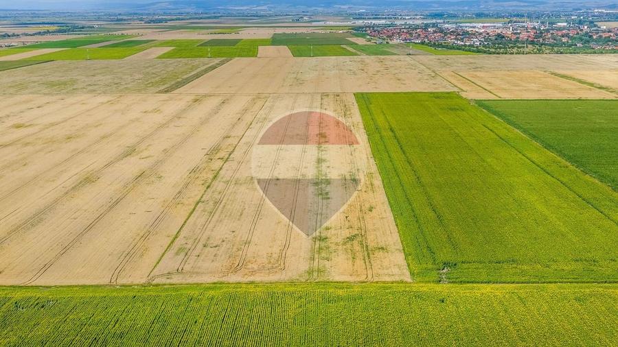 Teren agricol extravilan de 20000 mp, în Cristian