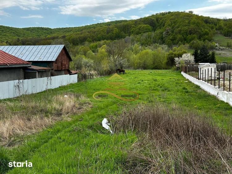 Teren intravilan de vanzare 2900 mp Luncani Bacau - 3