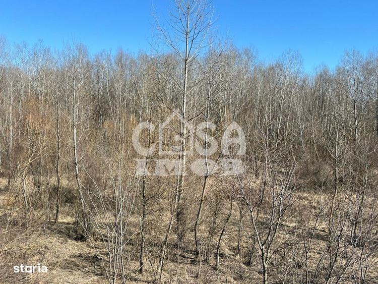 Teren extravilan padure - 6.000 mp, vizavi de Insula Crapilor, Ionest - 7