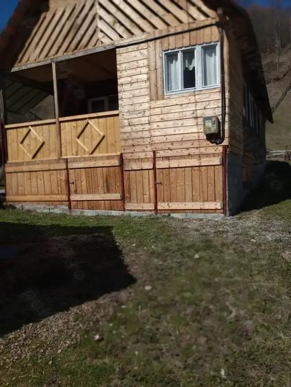 Casă cu 3 camere în Muntele Băișorii