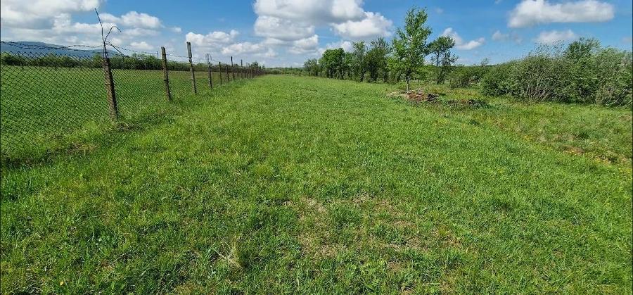 Teren de 3400 mp, în Rusu Bârgăului