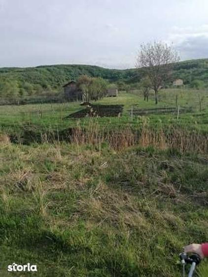 Teren de 1100 mp, în Florești