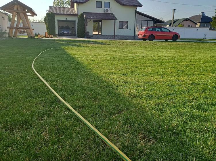 Casă cu 4 camere cu Teren 1530 Mp în Viișoara