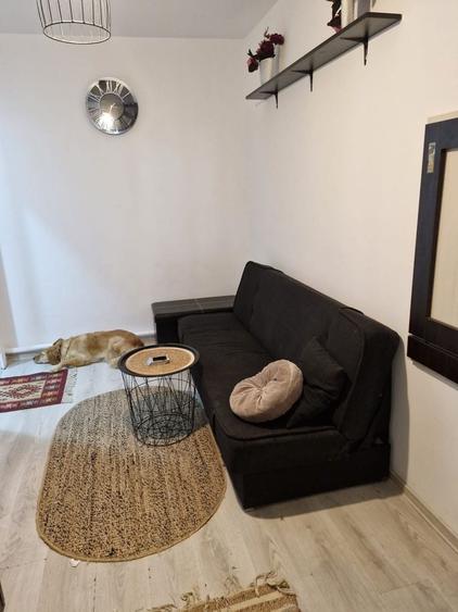 Apartament de inchiriat- nedecomandat- pet friendly - 3