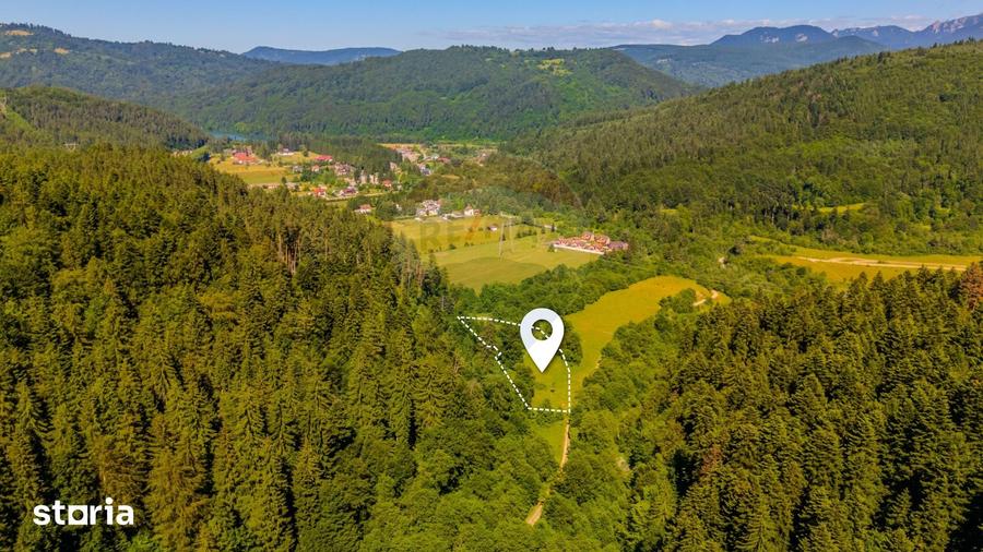Teren de 6000 mp, în Brădet