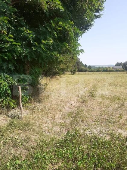 Teren Construcții extravilan de 2600 mp, în Periferie