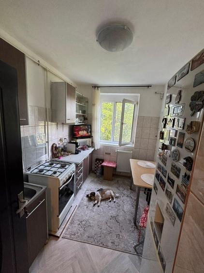 Apartament 2 camerede vânzare- zona Brotacei - 4