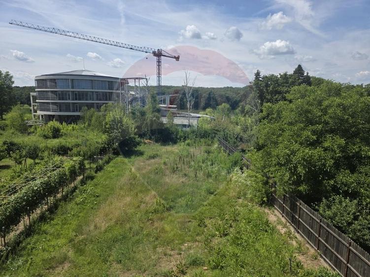 Casă individuală cu 6 camere cu Teren 1562 Mp în Snagov