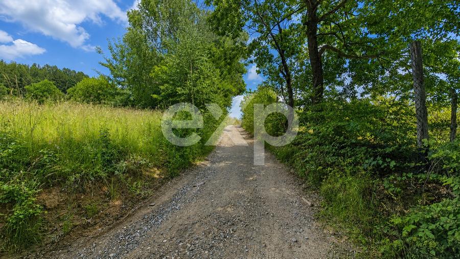 Teren agricol extravilan de 11368 mp, în Poiana Mărului