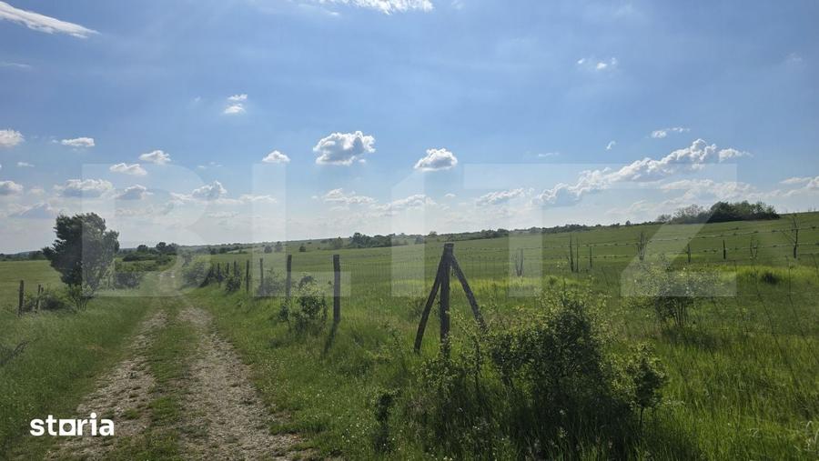 Teren de 755500 mp, în Ghizela