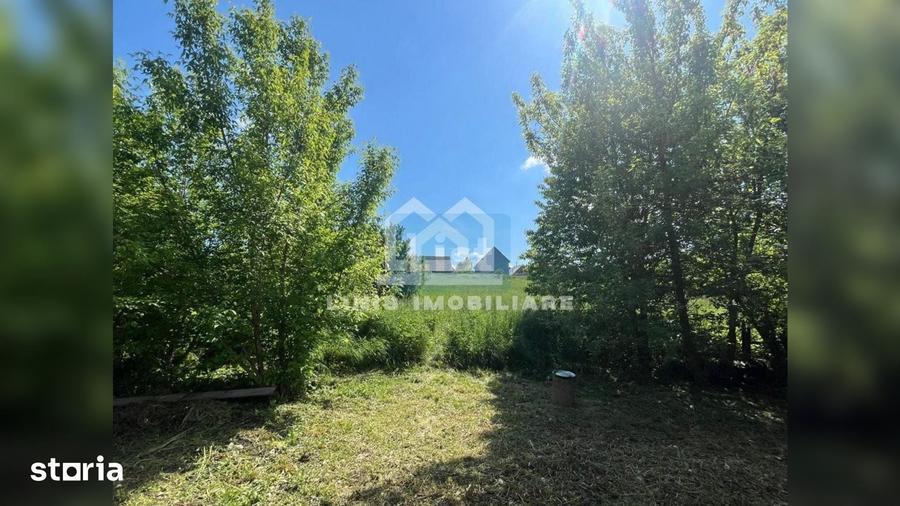 Casă cu 2 camere cu Teren 2000 Mp în Bălcăuți