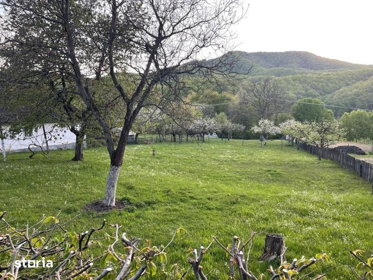 Teren de 1590 mp, în Firiza