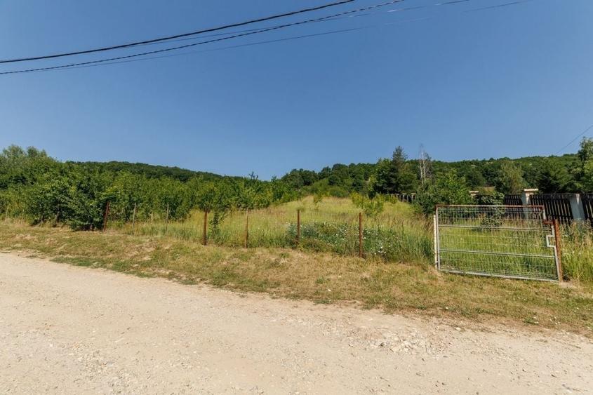 Teren Construcții intravilan de 1750 mp, în Ștefănești