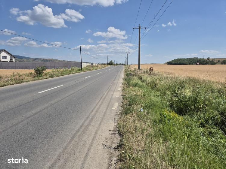 Teren intravilan de vanzare- 7300 mp, in Vintu de jos - 2