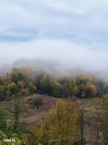 Teren de 1400 mp, în Vișinești