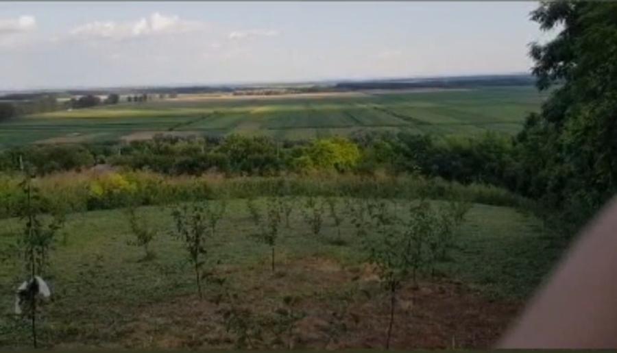 Teren Construcții intravilan de 1000 mp, în Puieni