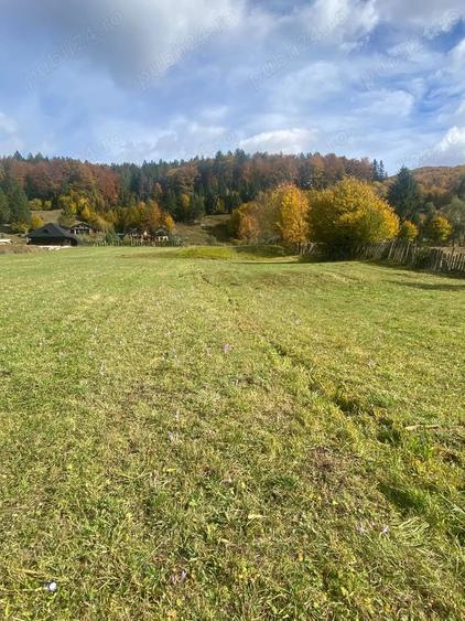 Teren de 4100 mp, în Periferie