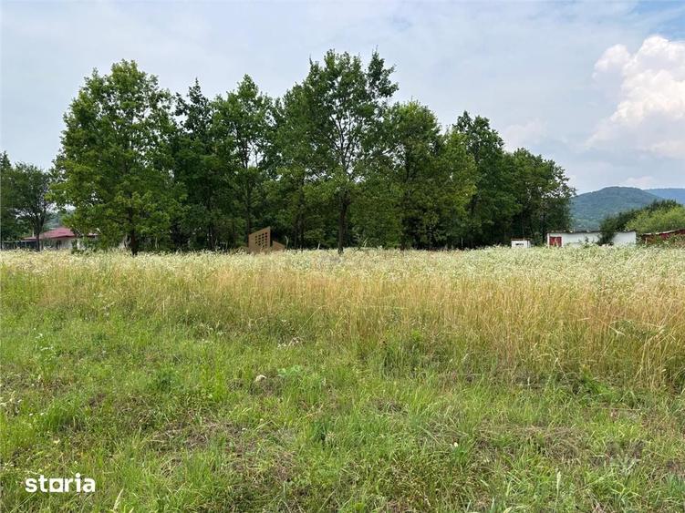 Apartament cu 2 camere decomandat în Valea Borcutului
