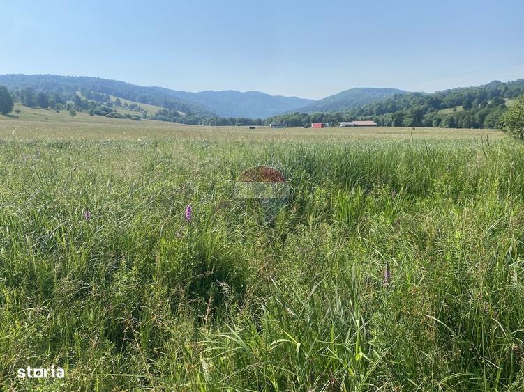 Teren 4,306mp Vama Buzaului langa Cascada Urlatoarea - 6