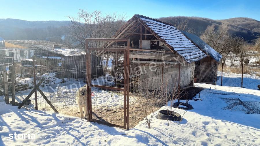 Casă cu 3 camere cu Teren 3877 Mp în Valea Danului