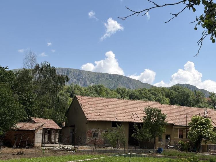 Casă cu 3 camere cu Teren 1687 Mp în Colțești
