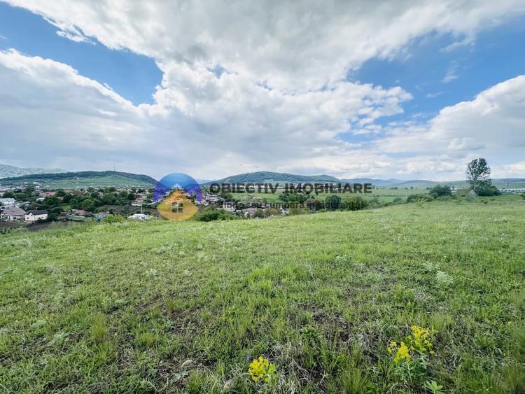 Teren agricol intravilan de 3000 mp, în Ciritei