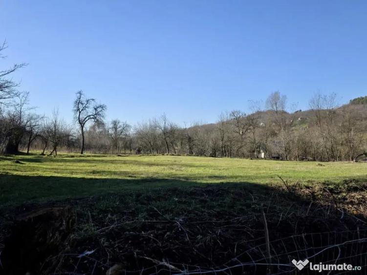 Teren 4.549 mp intravilan, cu posibilitate de parcelare. - 9