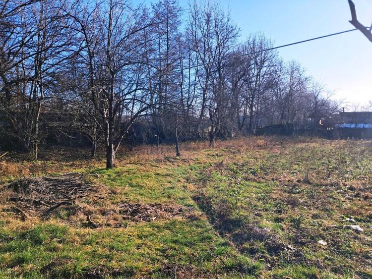 Casa si teren de vanzare Polovragi - 10