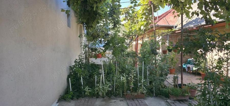 Casa de vanzare - 5