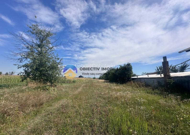 Teren intravilan de vanzare 1.688 mp, Dumbrava Ro?ie